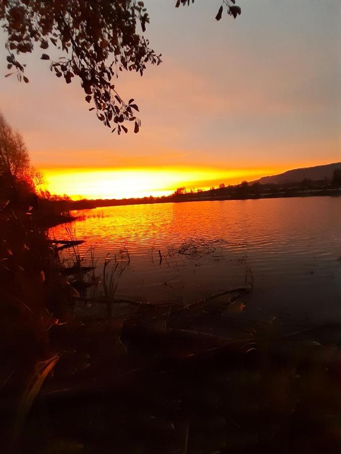 Lauenforde Ferienhaus Am Weserberglandsee מראה חיצוני תמונה
